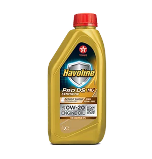 Pro Ds Mg 0W-20 4L